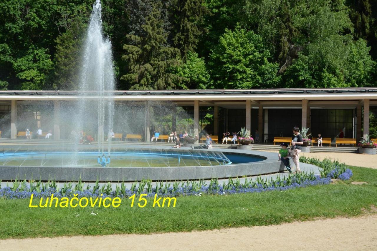Retro vila Affittacamere Slušovice Esterno foto